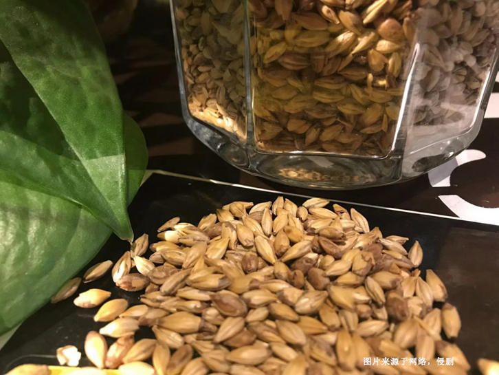 澳大利亞麥芽進口報關資料