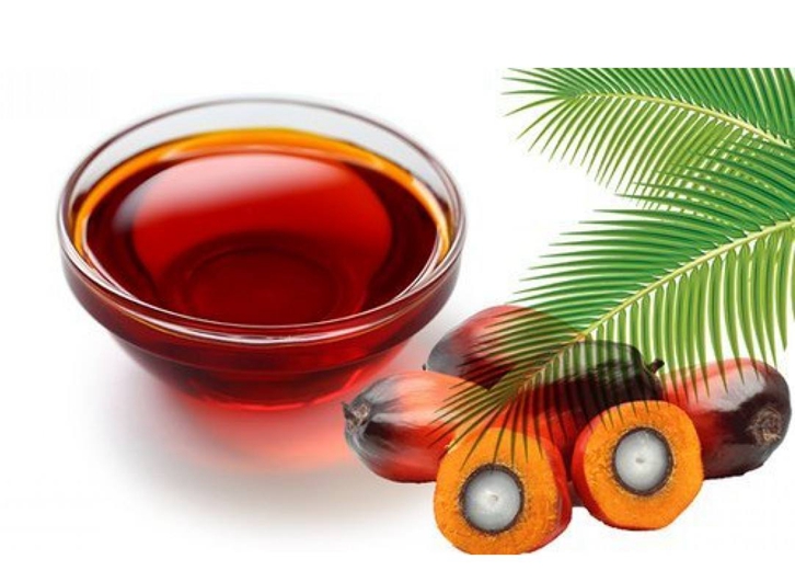 棕櫚油進(jìn)口報(bào)關(guān)公司