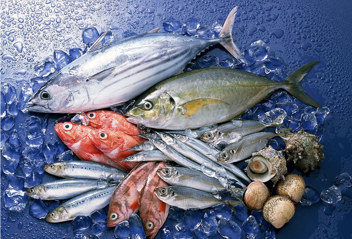 長沙進口菲律賓冷凍魚清關流程