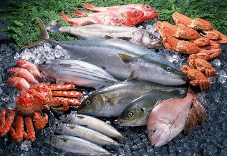 進(jìn)口冷凍海鮮報(bào)關(guān)