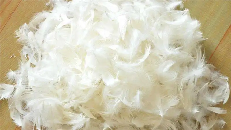 鴨毛進(jìn)口報(bào)關(guān)流程