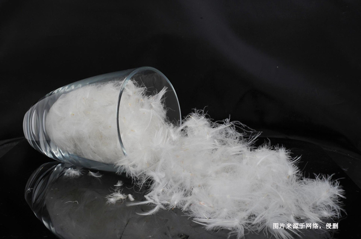 法國水洗羽絨羽毛進(jìn)口報關(guān)資料