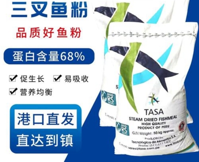 手把手教你俄羅斯魚粉進口報關流程手續(xù)