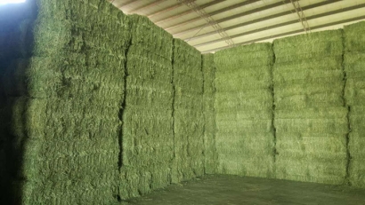 武漢進(jìn)口西班牙苜蓿草報關(guān)資料6樣-飼料通關(guān)要點