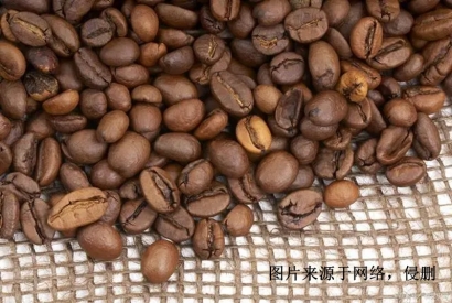 印尼進口報關行哪家好？印度尼西亞可可豆清關資料