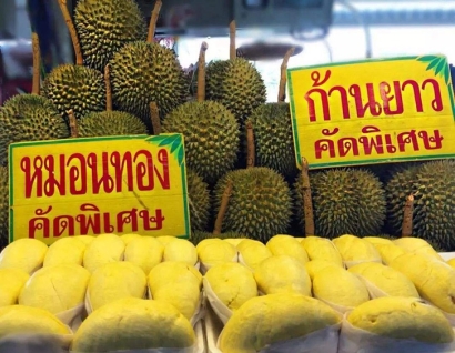 青島進口泰國榴蓮報關資料這8樣_林查班海運專線