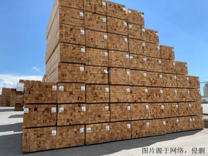 白俄羅斯進(jìn)口報關(guān)公司哪家好？白俄羅斯木材清關(guān)流程