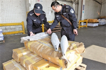 菲律賓凍魚進口報關操作流程手續的指導