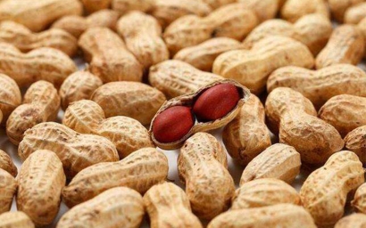 進口大宗農(nóng)產(chǎn)品報關(guān)需要了解這些