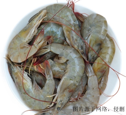 厄瓜多爾冷凍蝦進(jìn)口清關(guān)流程_上海冷凍蝦報關(guān)公司