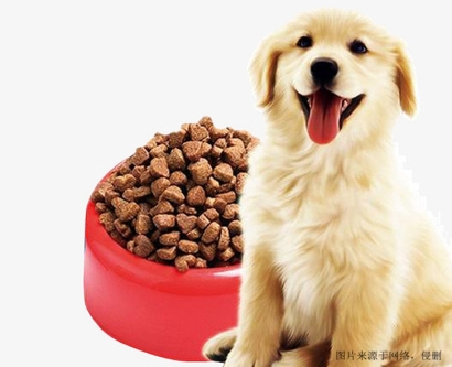 上海進(jìn)口寵物食品報(bào)關(guān)流程及要點(diǎn)