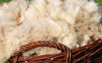 進口羊毛報關一般貿(mào)易進口流程是怎樣的？