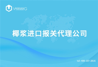 椰漿進口報關代理公司