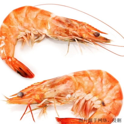 越南北方長額蝦進口報關(guān)流程_廣州水產(chǎn)品海運費用