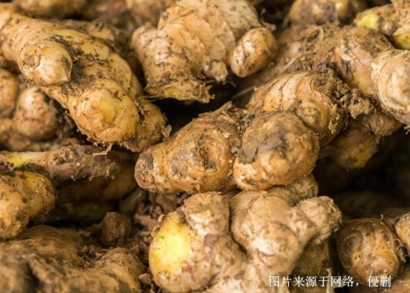 越南生姜進(jìn)口清關(guān)流程_胡志明港香料海運進(jìn)口費用