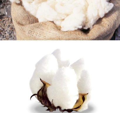 羊毛進(jìn)口清關(guān)要多久_澳大利亞洗凈羊毛報關(guān)流程