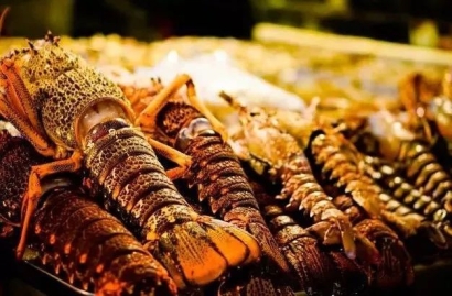 加拿大進口波士頓龍蝦報關到上海機場水產(chǎn)品案例