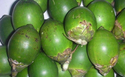 進口臺灣新鮮檳榔報關的流程以及資料,get到了嗎