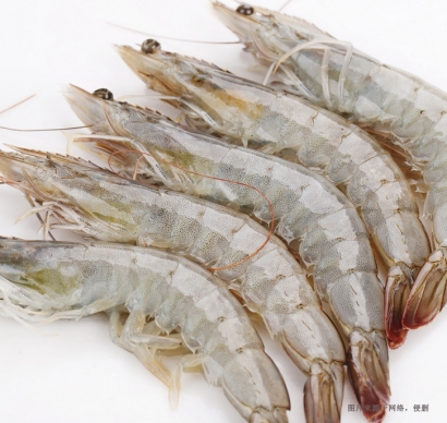 厄瓜多爾南美白蝦進口報關(guān)資料到天津水產(chǎn)品案例