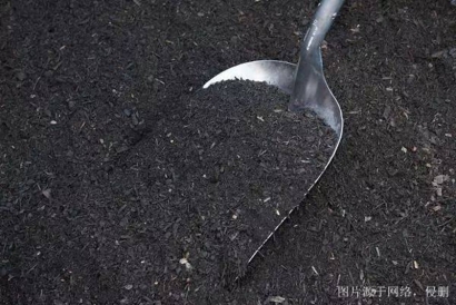 青島化肥進(jìn)口報關(guān)資料_肥料進(jìn)口如何清關(guān)流程手續(xù)