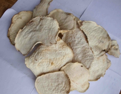 印度尼西亞魔芋干進口報關公司哪家好-18年經驗