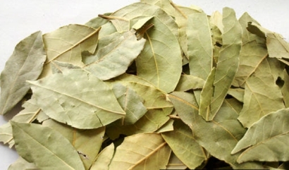 【進(jìn)口香葉清關(guān)代理公司】告訴你香葉進(jìn)口流程