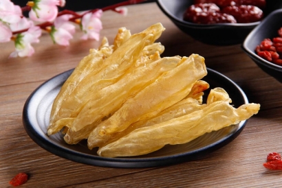 進口魚膠清關準入的國家有哪些？花膠進口報關