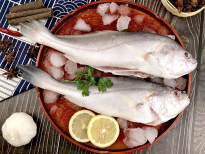 生鮮進口報關代理如何辦理手續？「報關流程」