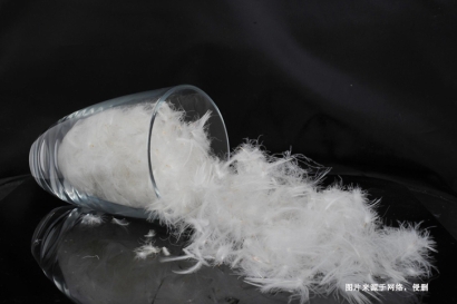 法國水洗羽絨羽毛進口報關(guān)資料_法國準入水洗羽毛企業(yè)