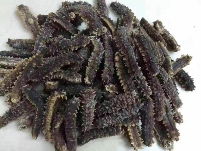 印尼海參進口清關公司告訴你海參進口報關手續