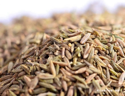 上海枯茗子進口清關流程：如何順利引入國內(nèi)市場？