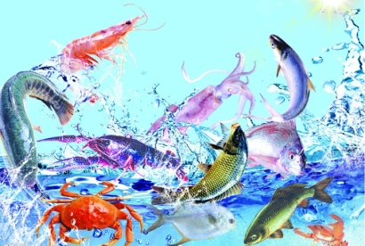 越南生鮮進口清關流程及費用詳解：有哪些細節需要注意？