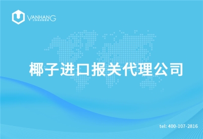 椰子進口報關(guān)代理公司