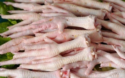 阿根廷冷凍雞爪進口報關(guān)一般貿(mào)易進口條件