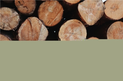 木材進(jìn)口清關(guān)需要注意的內(nèi)容