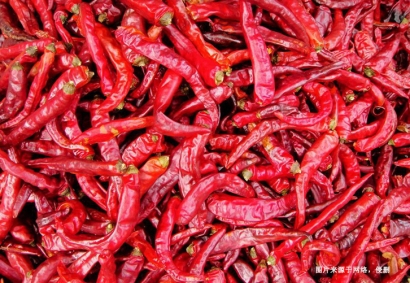 深圳進(jìn)口印度辣椒干報關(guān)資料_辣椒干進(jìn)口通關(guān)要點(diǎn)