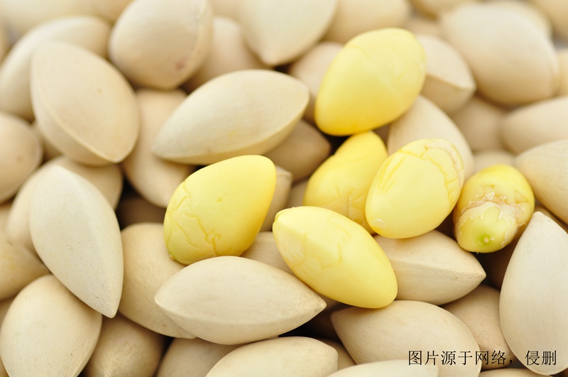 白果進口怎么清關流程？天津堅果進口代理報關公司