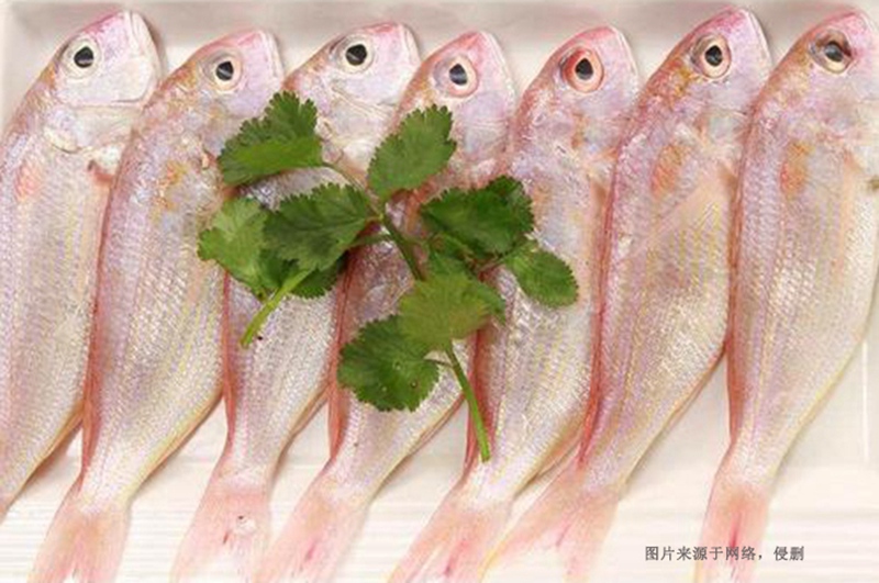 越南冷凍魚進口清關資料 越南冷凍魚進口清關資料