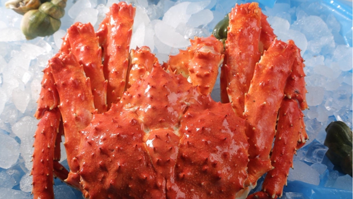 廣東進口俄羅斯帝王蟹報關資料 廣東進口俄羅斯帝王蟹報關資料