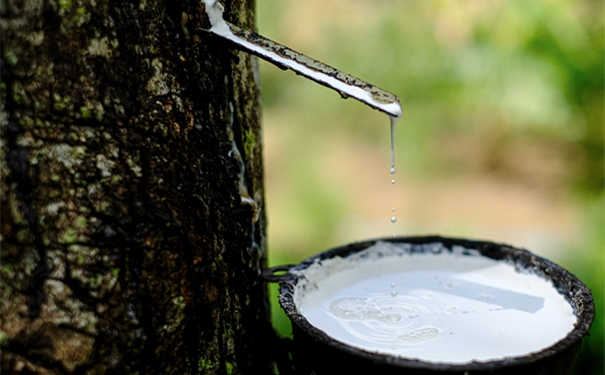 干貨!進口橡膠清關所需的單證資料以及注意事項 進口橡膠清關