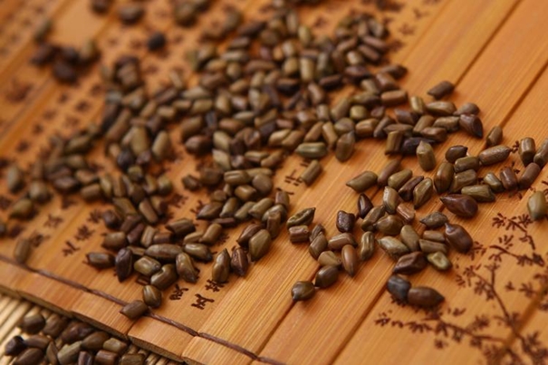 1631010227352330.jpg 印度決明子進口清關(guān)