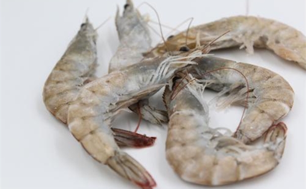 厄瓜多爾白蝦代理清關 進口厄瓜多爾白蝦代理清關公司