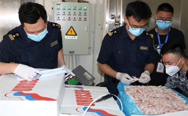 1604022132574977.jpg 63d0f703918fa0ecd3dad3353372e4e83c6ddbd1_副本.jpg