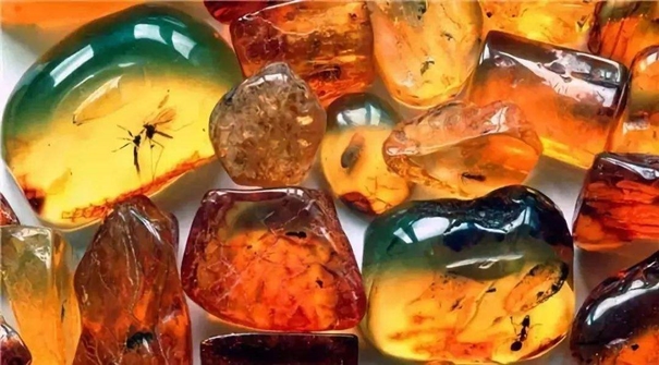 琥珀石進口報關(guān)